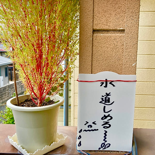 takakoさんの実例写真