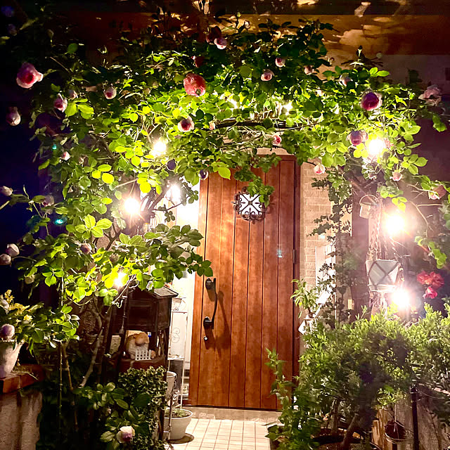 asako.10さんの実例写真