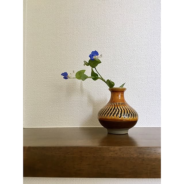 _sakumasikiさんの実例写真