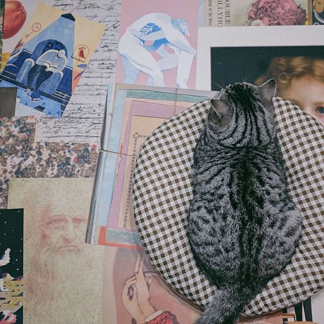 wendyさんの実例写真