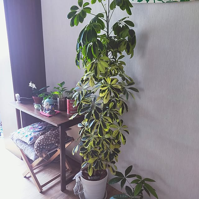 yuyuさんの実例写真