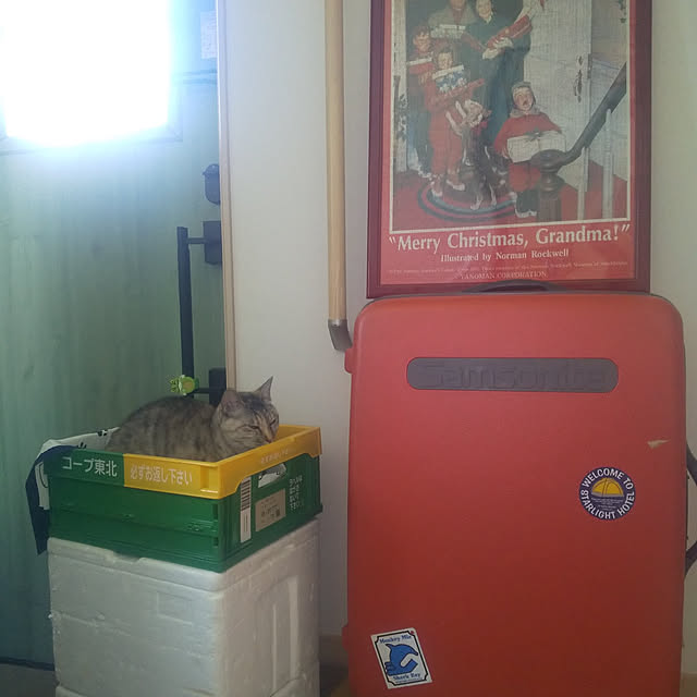 実例写真