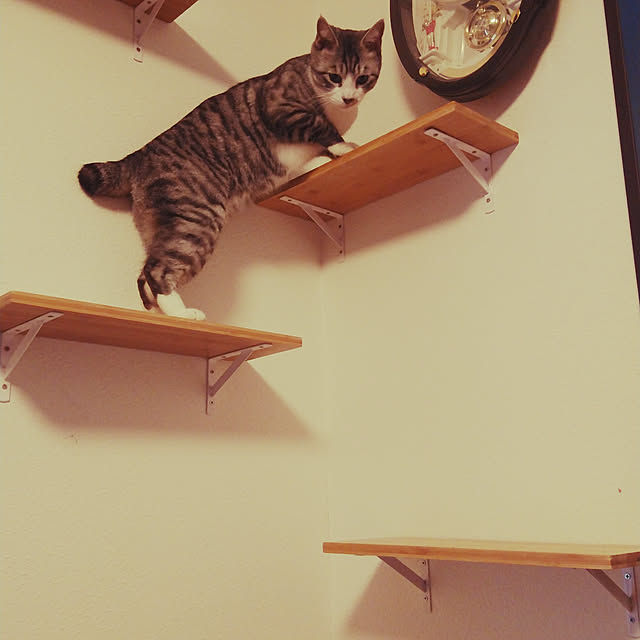 Mikaさんの実例写真