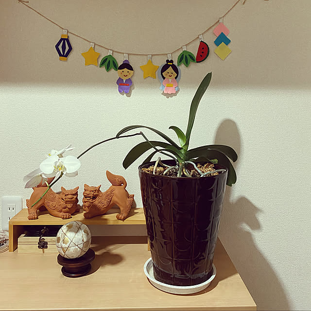 emiさんの実例写真