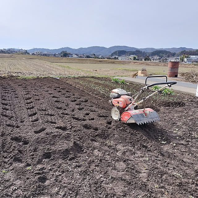sumimarumiさんの実例写真