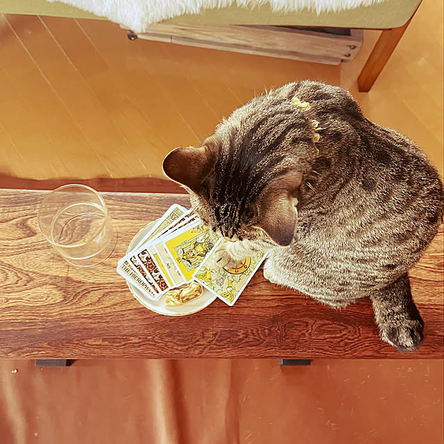 Mさんの実例写真