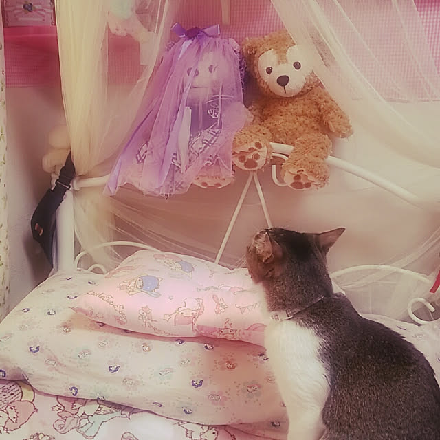 ribbonさんの実例写真