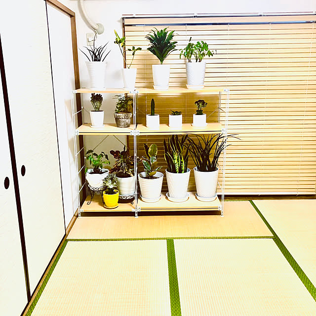 hanachanさんの部屋