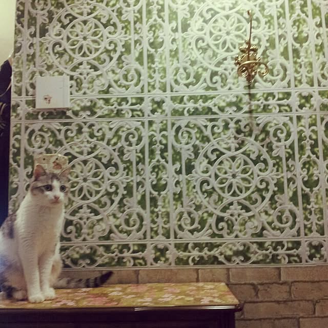 emmyyさんの実例写真