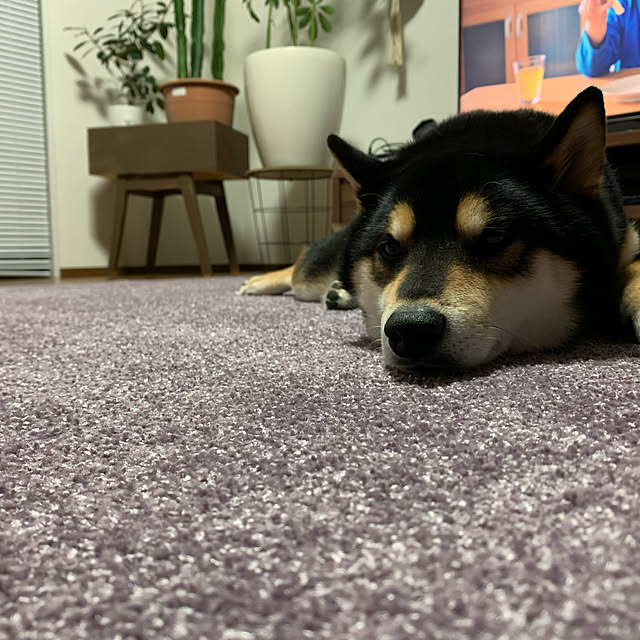 Megumiさんの実例写真