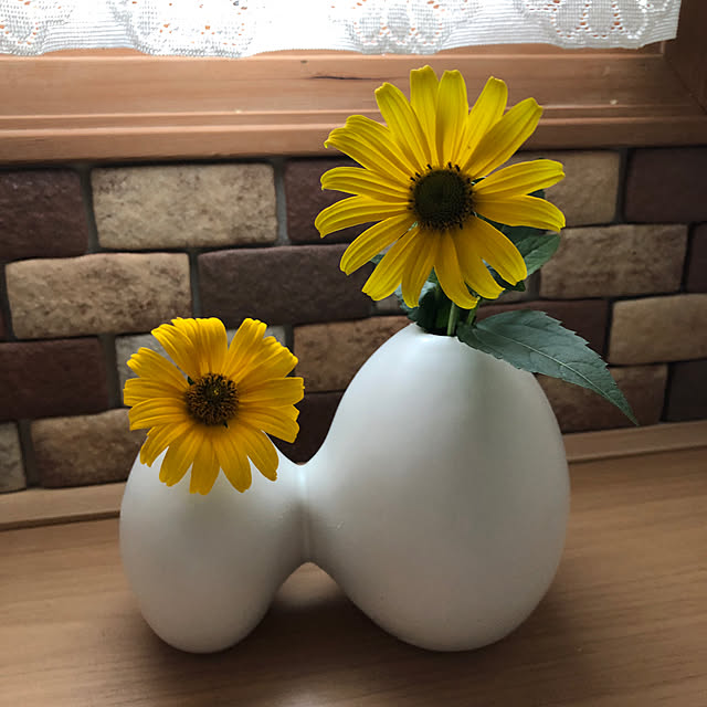 ikubooさんの実例写真