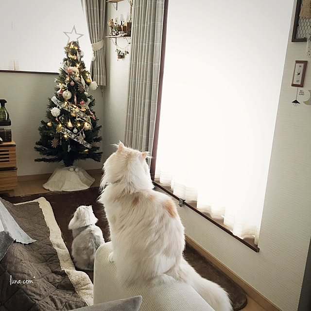 luna.comさんの実例写真