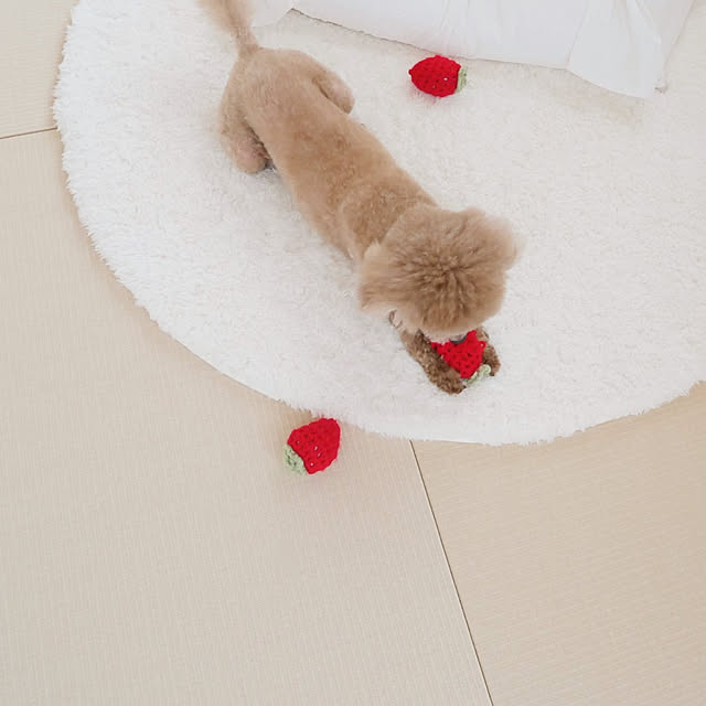kettoさんの実例写真