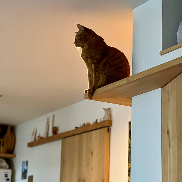 pooさんの部屋
