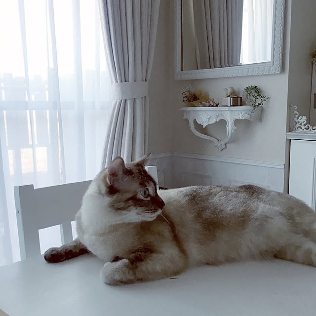 noelさんの実例写真
