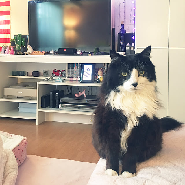 kanaさんの実例写真