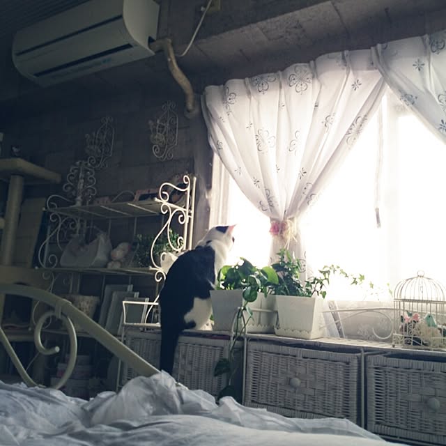 fu-ka24さんの実例写真
