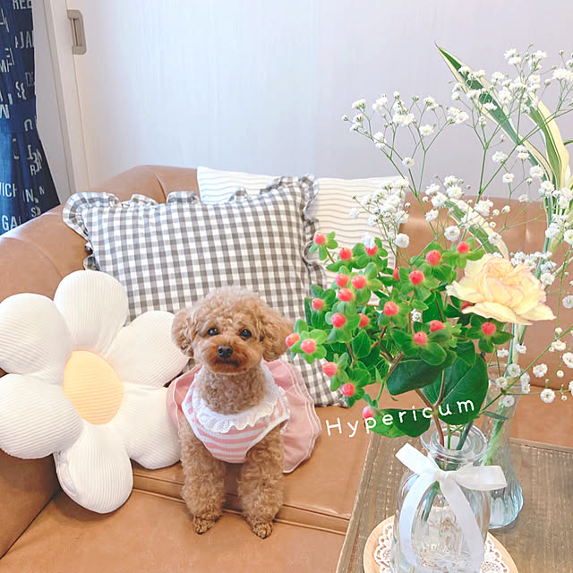 e.and.m.mamaさんの実例写真