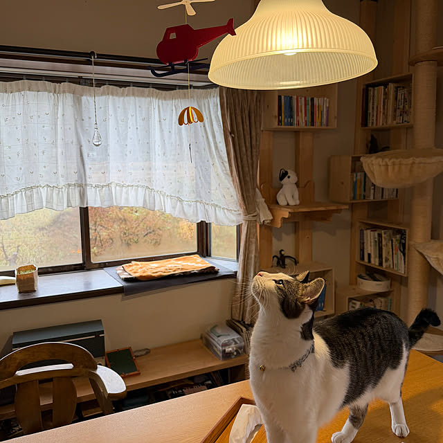 kuzumeganeさんの実例写真