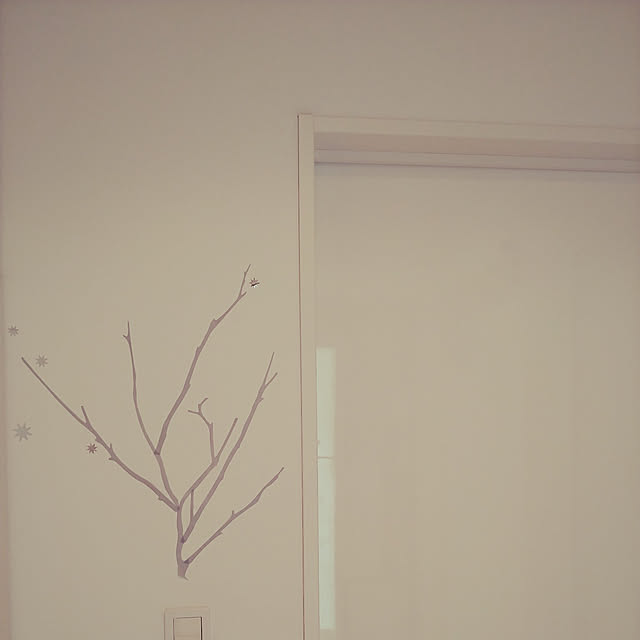 kasuさんの実例写真