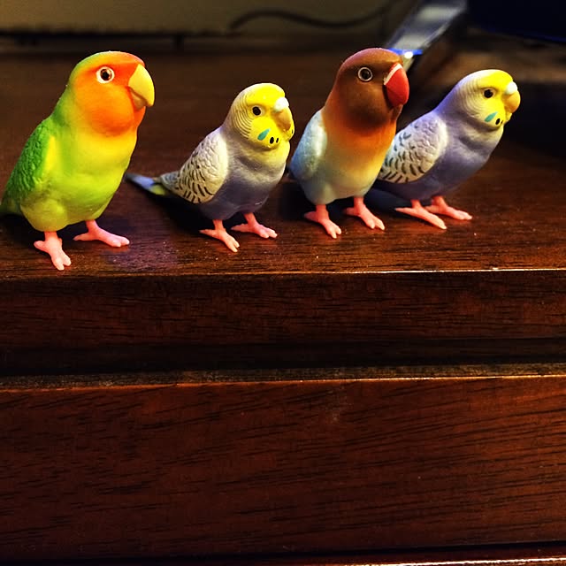 yokkochanさんの実例写真