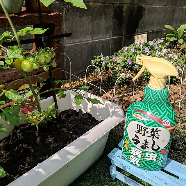 HIROMINさんの実例写真