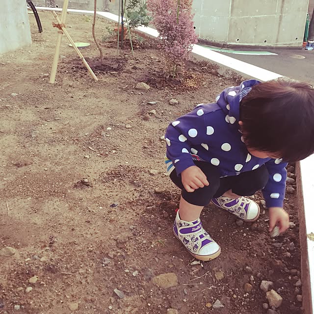 pugholicさんの実例写真