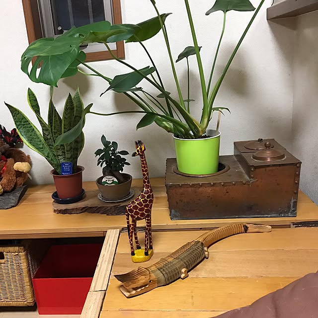 tornadeさんの実例写真