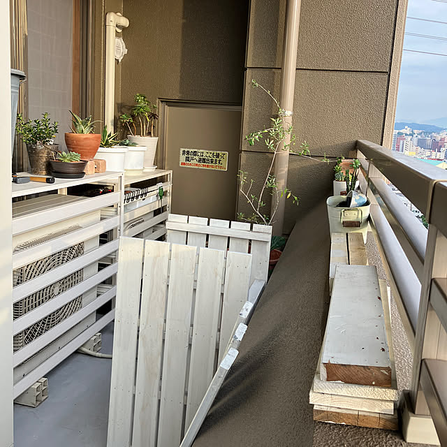 koshiregutyoさんの部屋