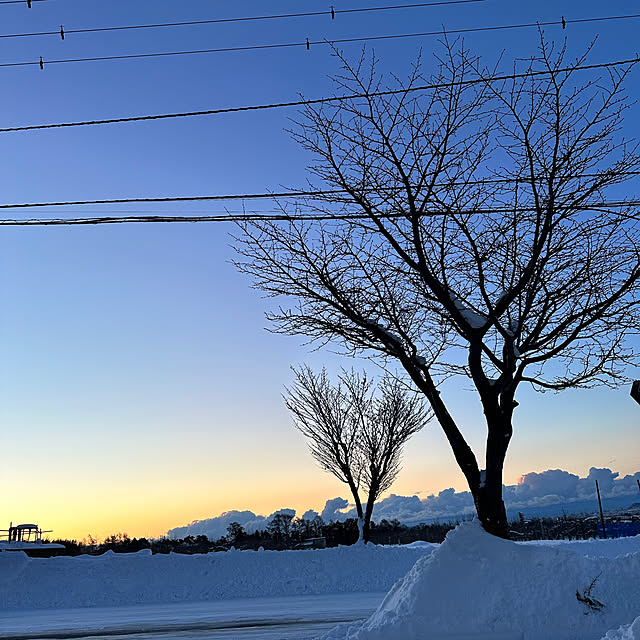 hanahana1444さんの部屋