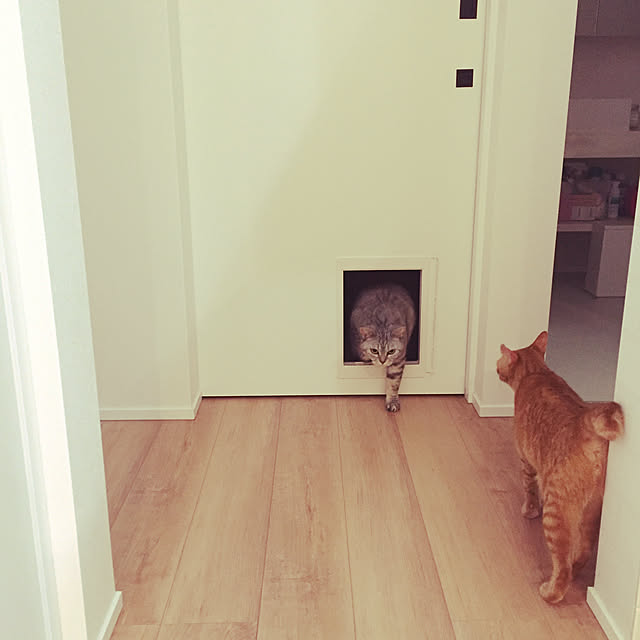funikoさんの実例写真