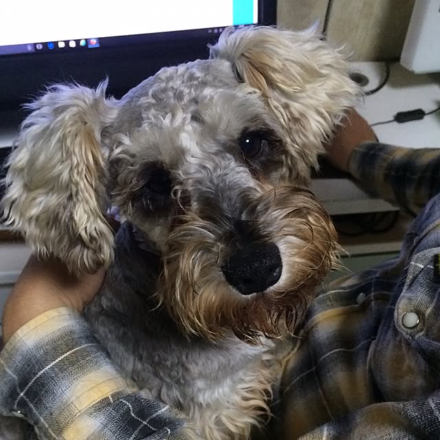 riicolatteさんの実例写真