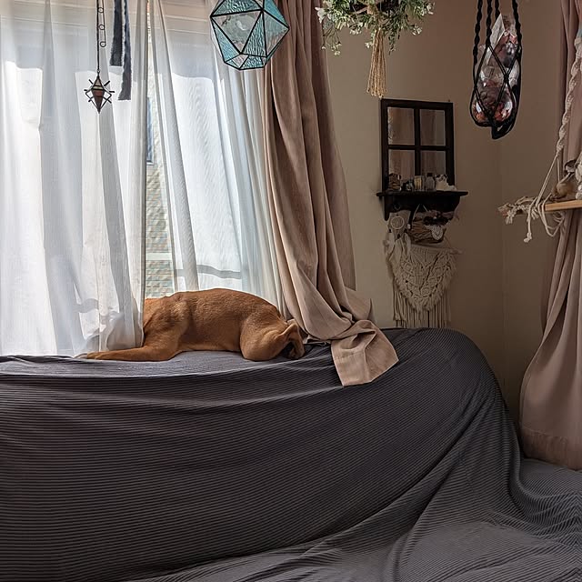 chi_gogaさんの部屋