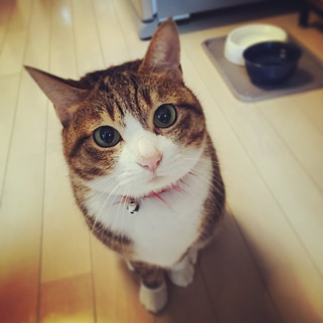 neopipeさんの実例写真