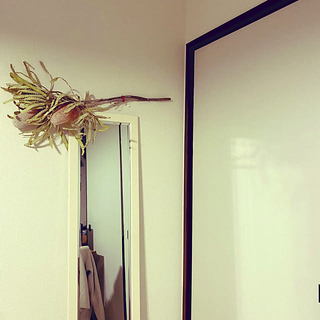 Ayaさんの実例写真