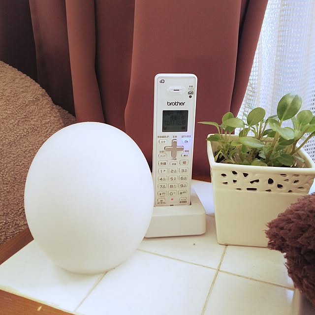 adaさんの実例写真