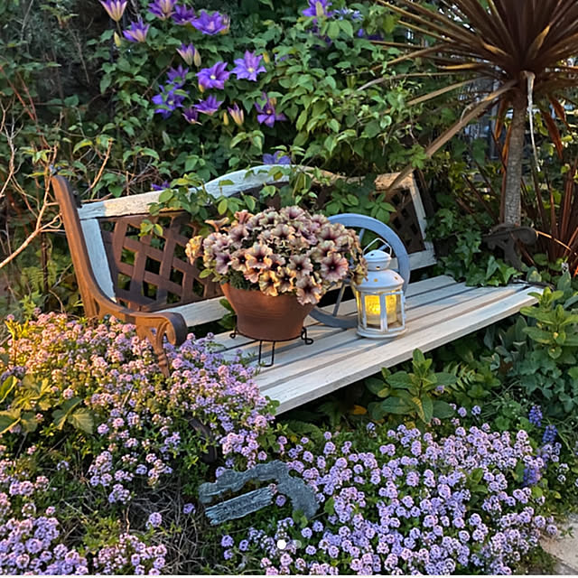 mintteaさんの部屋