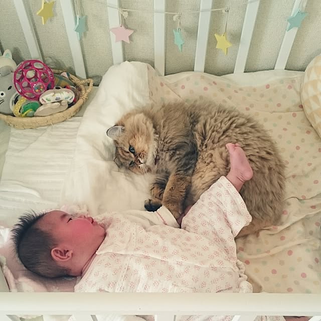 nanoさんの実例写真