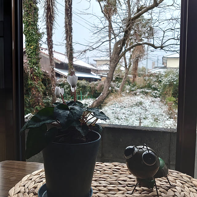 fukuさんの実例写真
