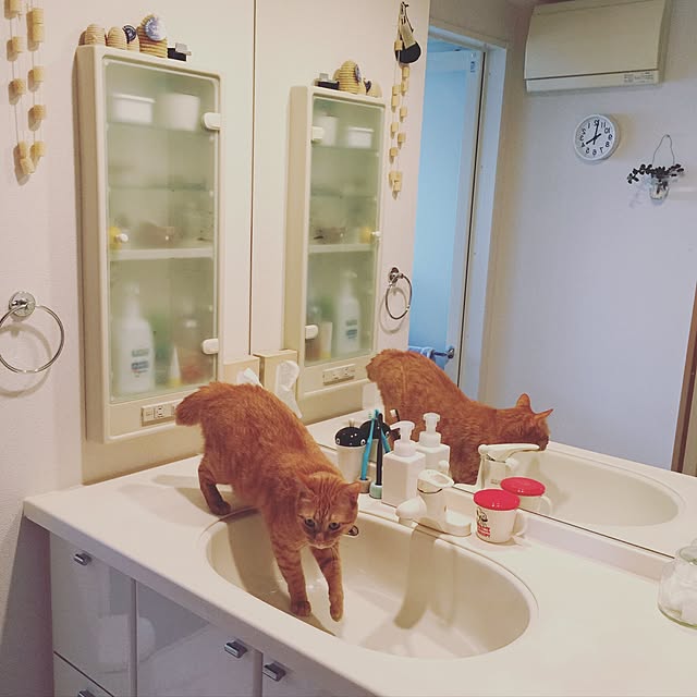 qo_op4649さんの実例写真