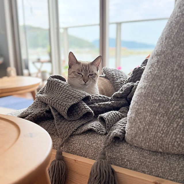 amさんの実例写真