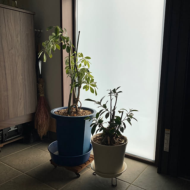 mkmkmoominさんの部屋