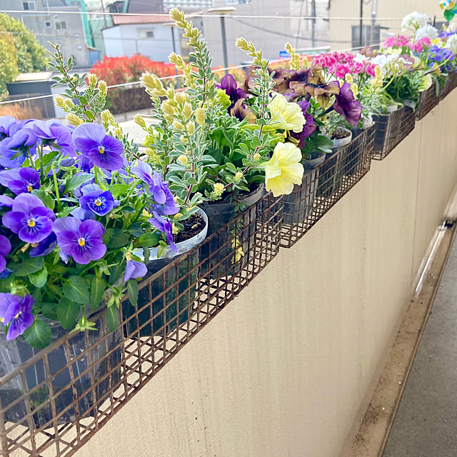 marukoさんの部屋