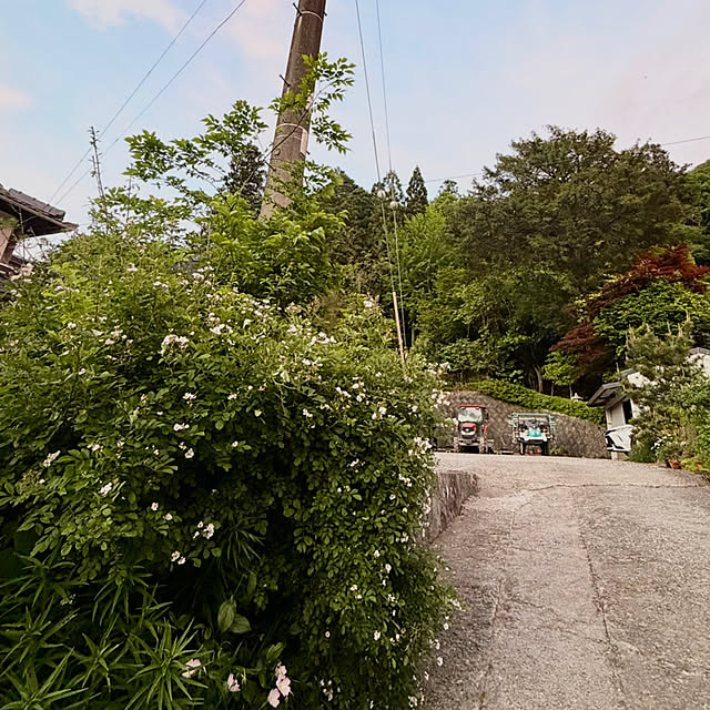 cotaさんの部屋