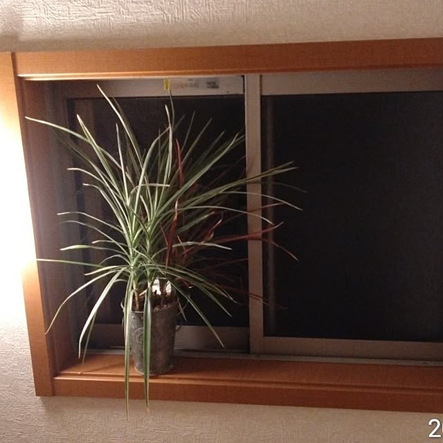 jun.canbusさんの部屋