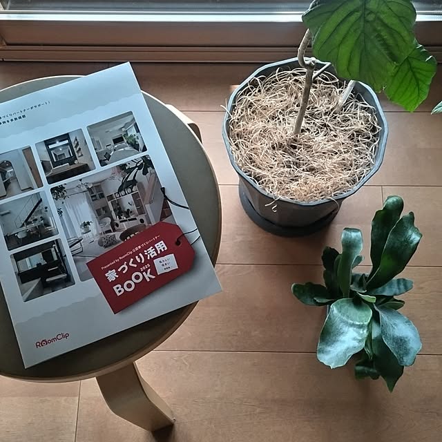 sakiさんの実例写真
