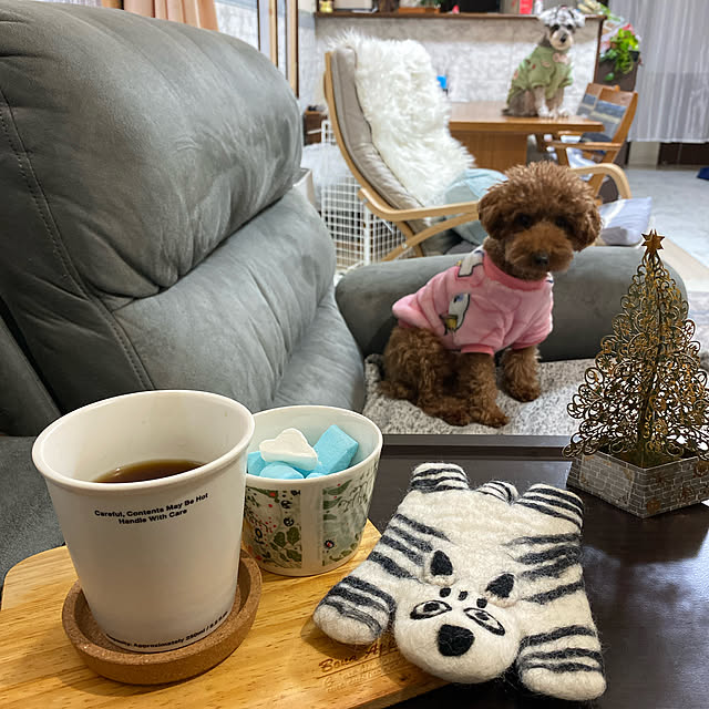 alchoさんの実例写真