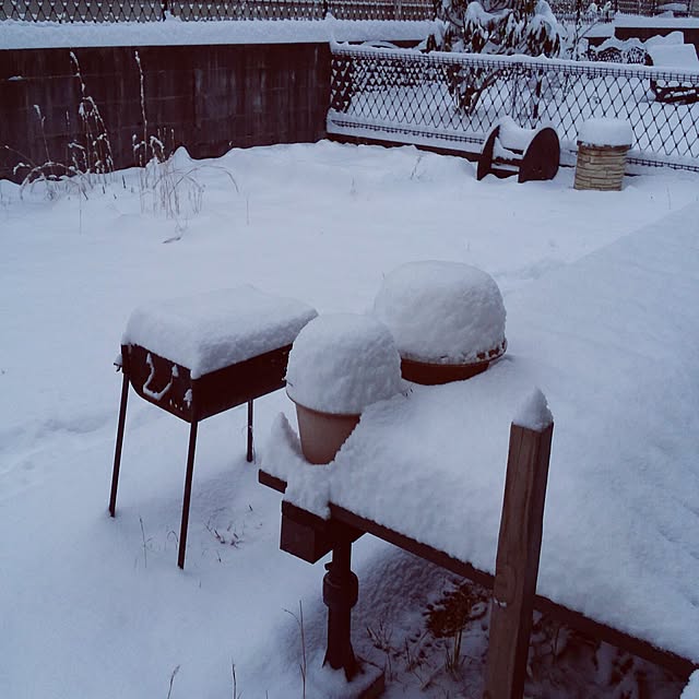cozylifeさんの実例写真