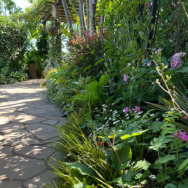Royal_Gardeners_Clubさんの実例写真