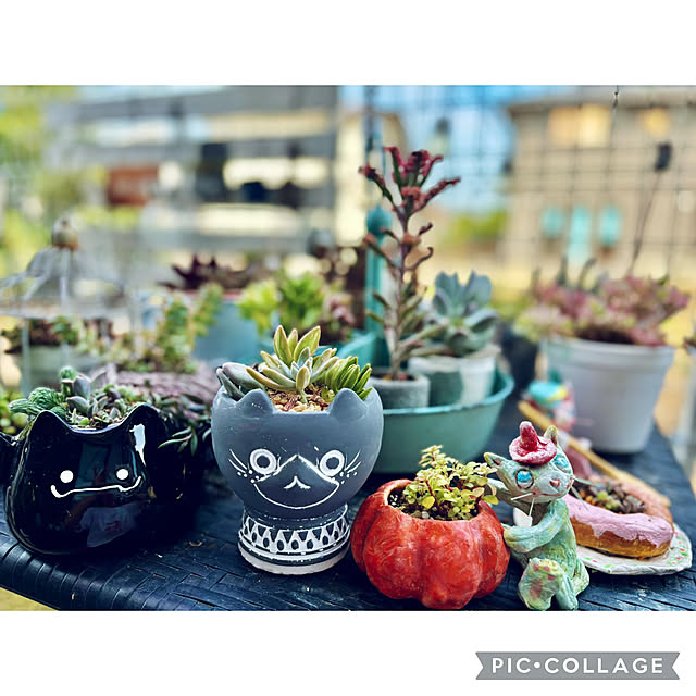 CoCo0617さんの実例写真